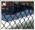 PVC coated chain link fence